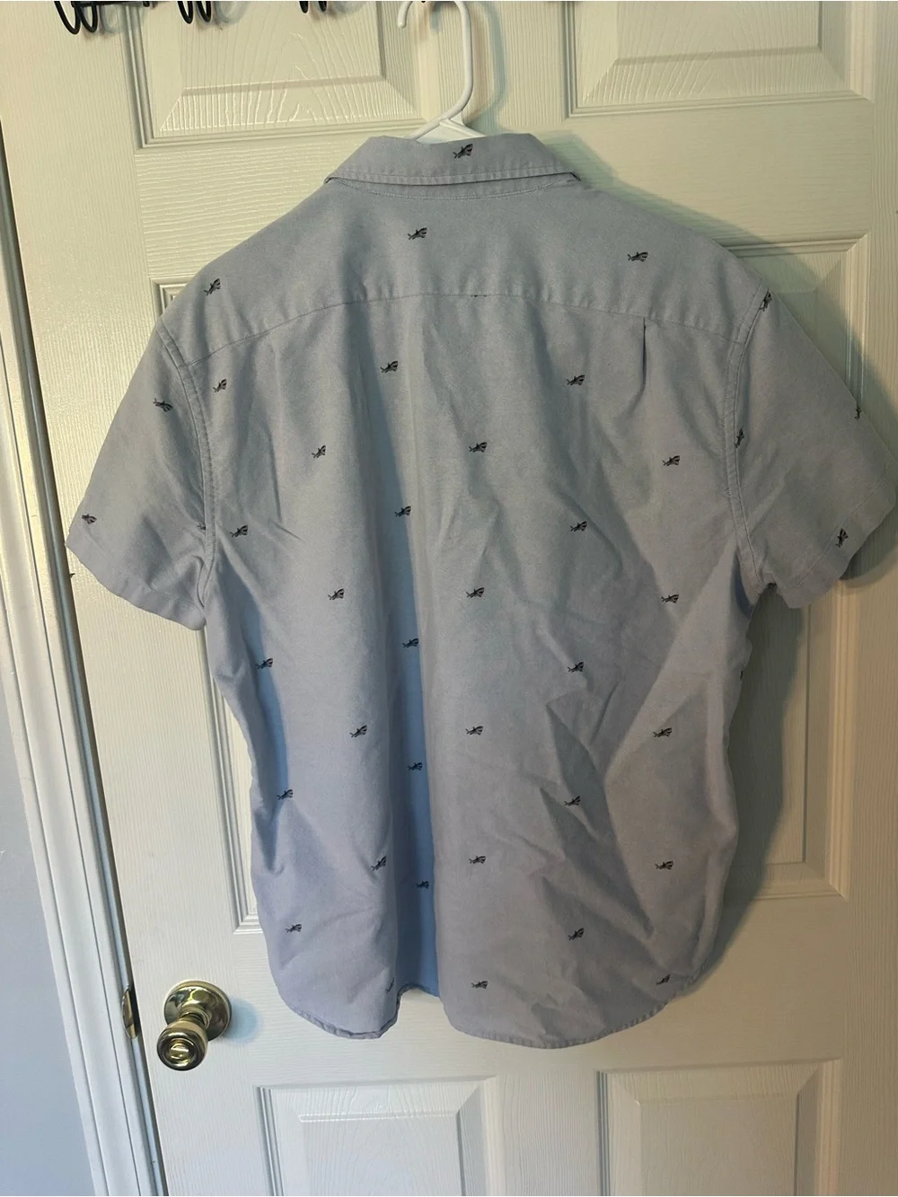 J. Crew light blue